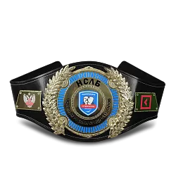 Чемпионский пояс по боксу