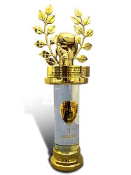 Стела наградная 