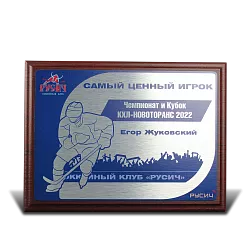 Диплом РУСИЧ