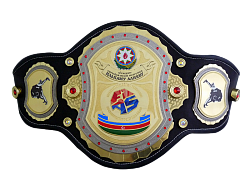 Чемпионский пояс для Ильхама Алиева