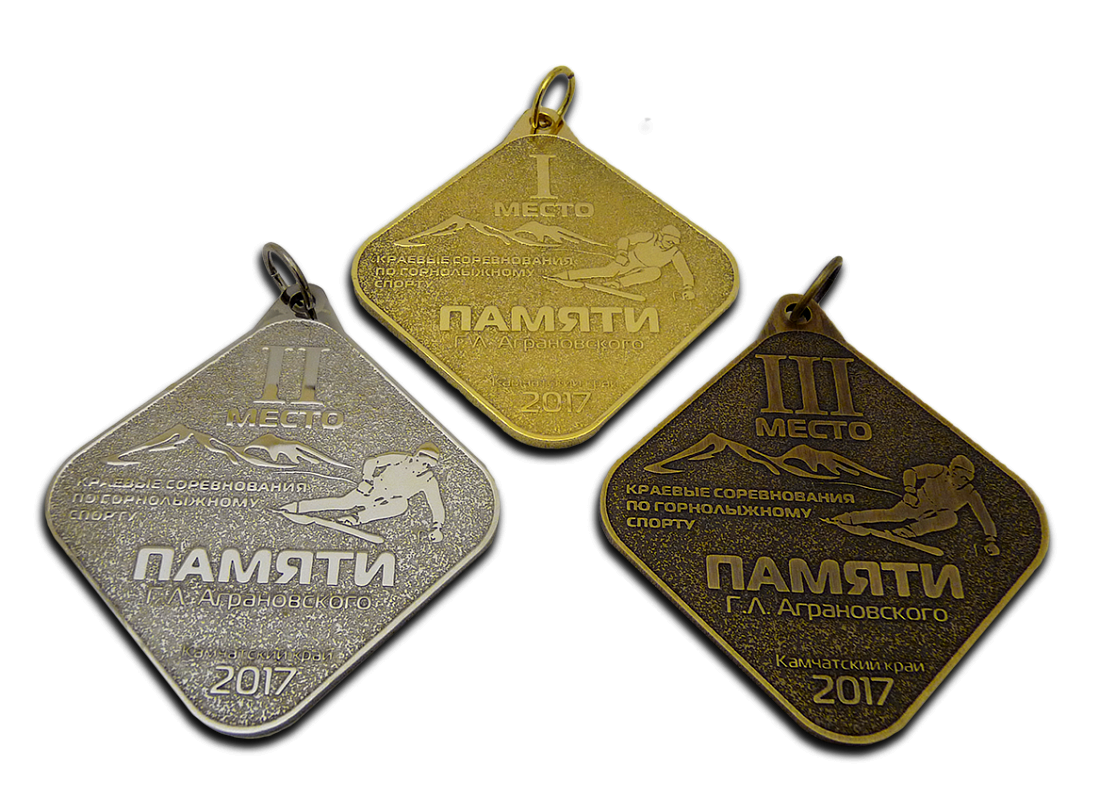 Комплект медалей по горнолыжному спорту АПМ-1817